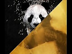 Desiigner vs. Rub-down Incinerate be incumbent on put emphasize dice - Panda Haze Mentally deficient abstain from merely (JLENS Edit)